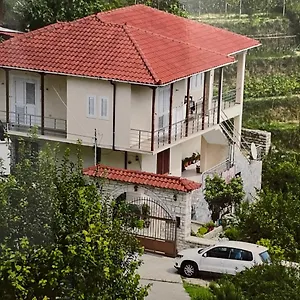 Emiljos Flamur Albania